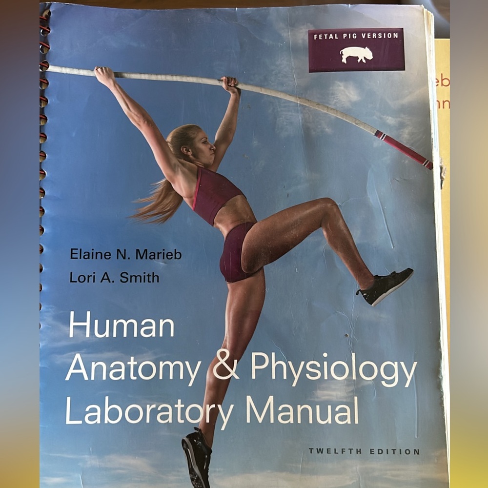Human Anatomy and Physiology Lab Manual